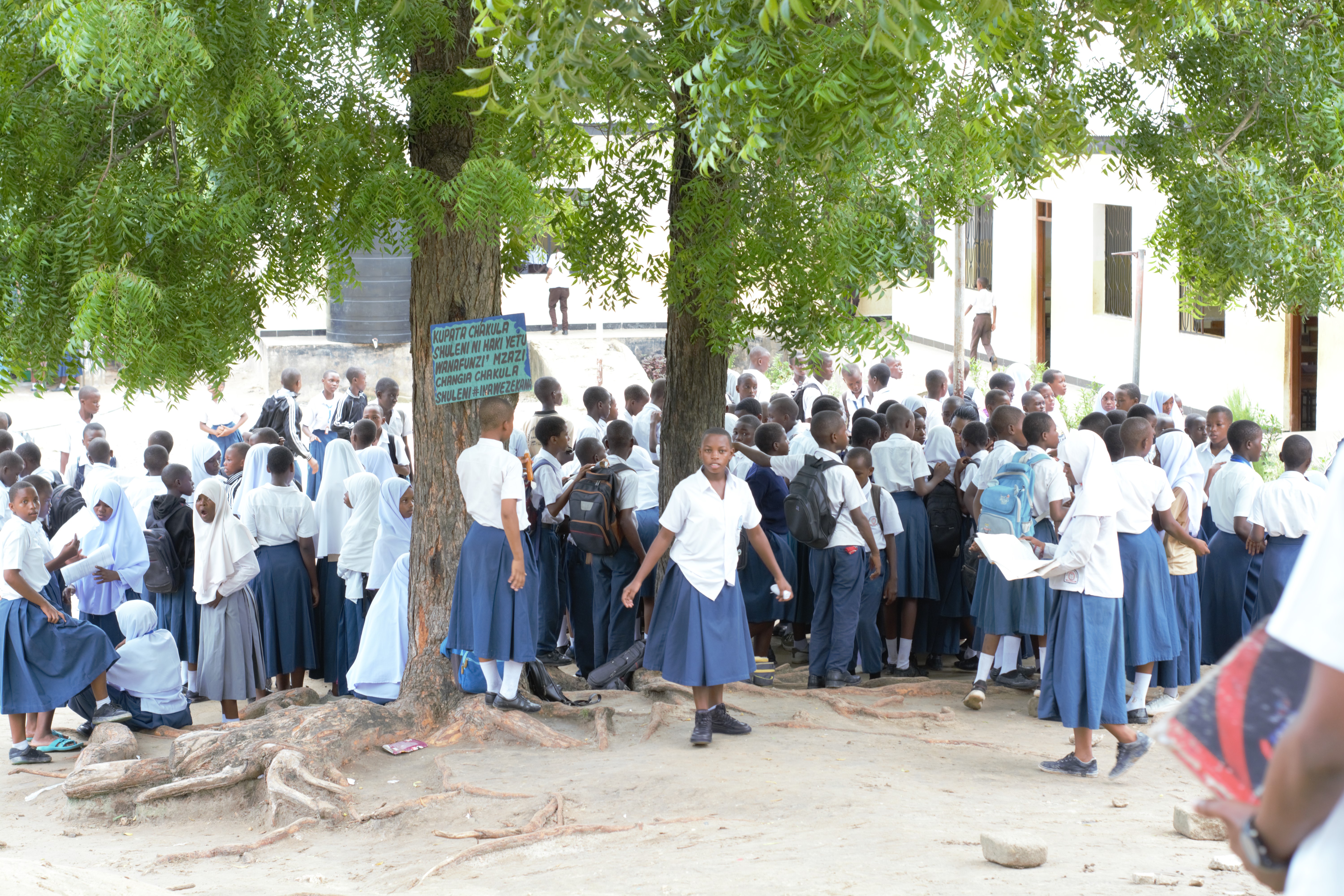 Mikoko exchange programs